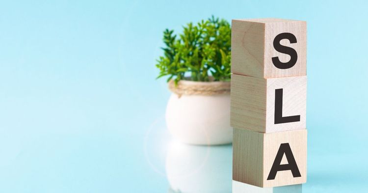 SLA en empresas: claves del servicio profesional